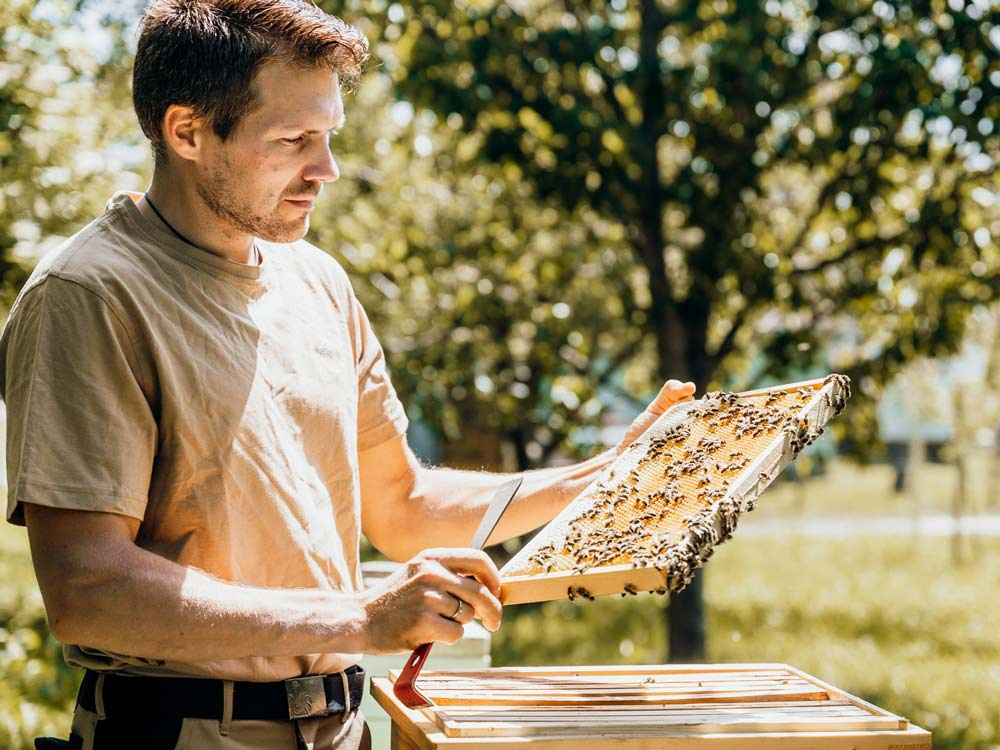 Bio Imker Stabler Lieferant der Zuckerlwerkstatt